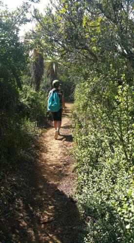 Hostal Cosmos Cuisine Addo