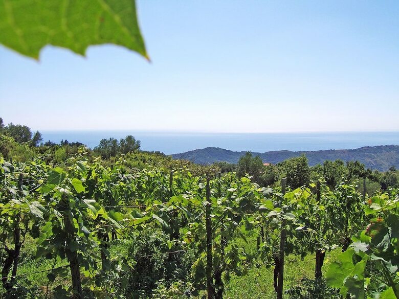Agroturismo Agriturismo San Leonardo