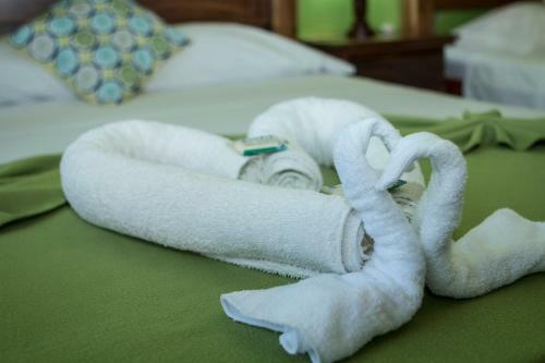 Hotel Caribbean Paradise Eco-lodge