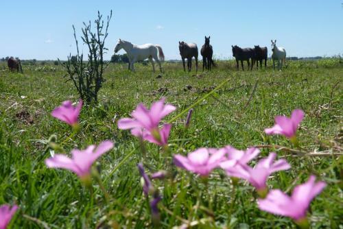 Agroturismo Estancia Hosteria El Ceibo