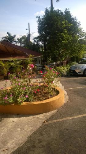 Hostal Palm Bay Guest House & Restaurant