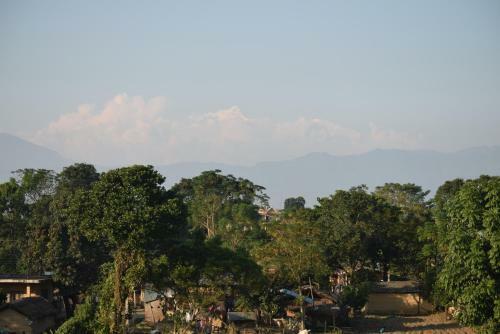 Hotel Chitwan Village Resort
