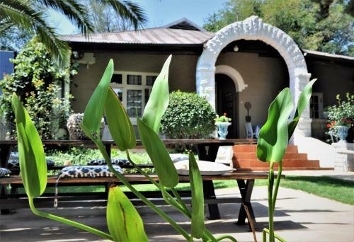 Apartamento Ginnegaap Guesthouse