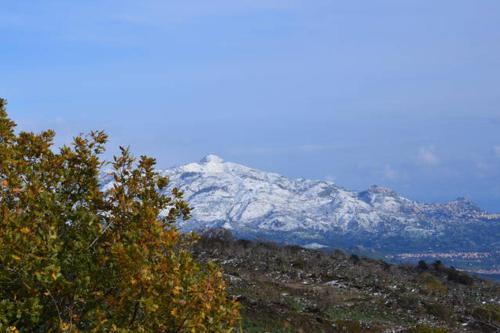 Agroturismo Casa Vacanza La Papuzza Mare E Etna