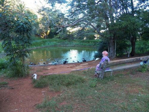 Lake Eacham Tourist Park & Cabins
