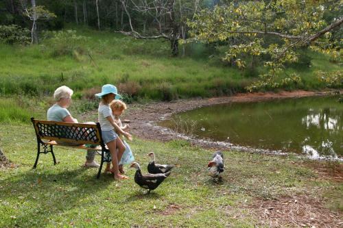 Lake Eacham Tourist Park & Cabins