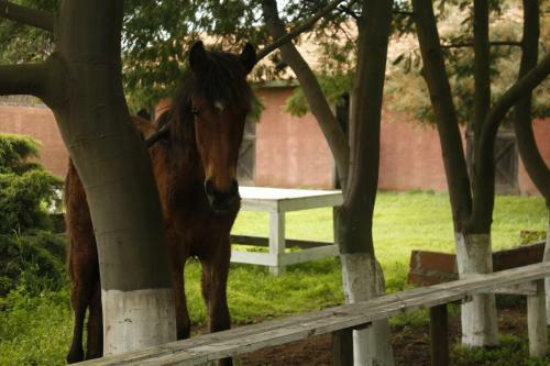Agroturismo Hotel Haras Casacampo
