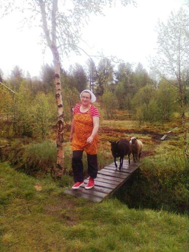 Lodge Kelotin Rantamajat