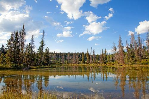Hotel Lac Le Jeune Wilderness Resort