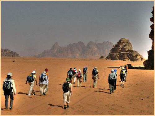 Bedouin Advisor Camp