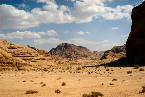 Bedouin Advisor Camp