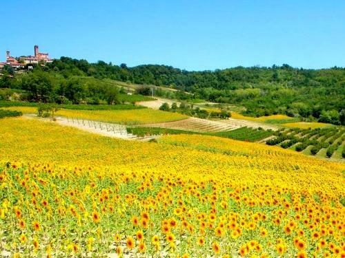 Apartment Gelsomino Camino