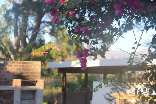 Villa Chelaya Country Lodge