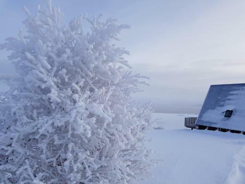 Skipalaekur Cottages