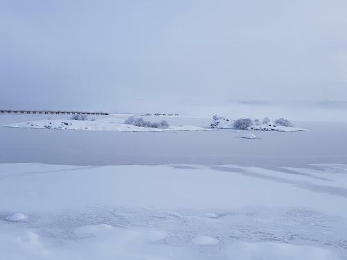 Skipalaekur Cottages