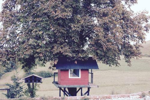 Agroturismo Cascina Castagneto