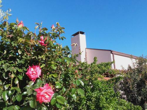 Bed & Breakfast La Balia