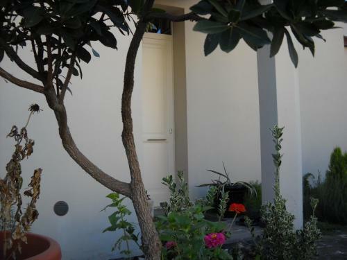 Bed & Breakfast La Balia