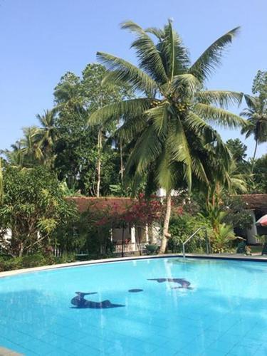 Hostal Leijay Resort