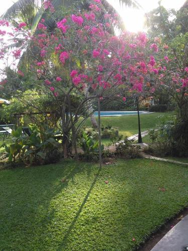 Hostal Leijay Resort