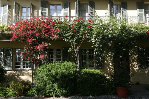 Sotto La Luna Bruna B&B