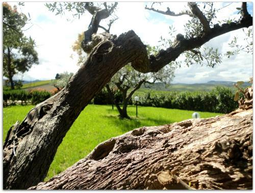 Hostal Villa San Biase
