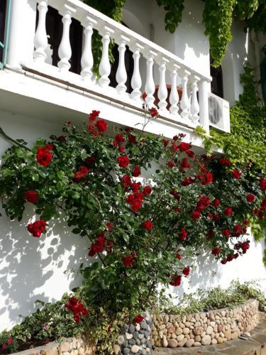 Hotel Gamartata