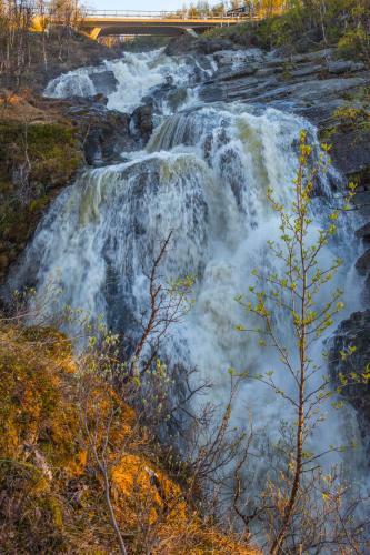 Hostal Abisko Guesthouse
