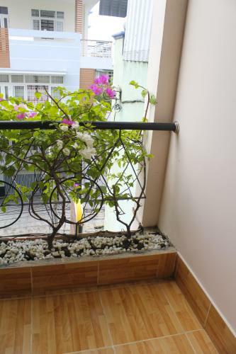 Spring Hotel