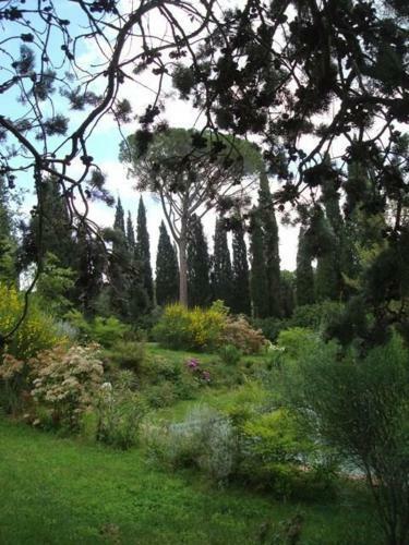 Hostal Al Giardino Degli Etruschi