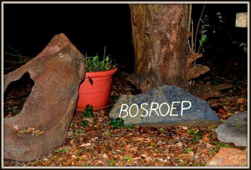 Phumula Kruger Lodge And Safaris