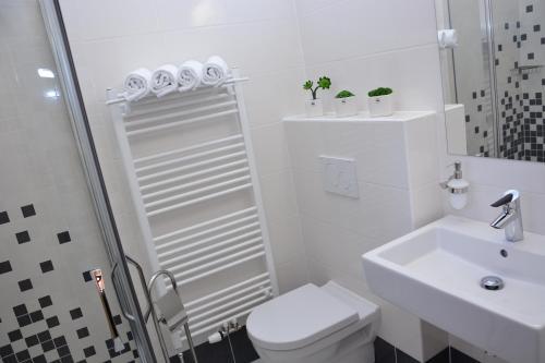 Hotel Z�mek Velk� Byst?ice