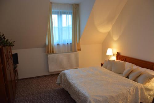 Hotel Z�mek Velk� Byst?ice