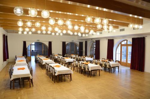 Hotel Z�mek Velk� Byst?ice