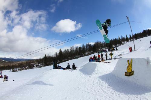Hotel Gomobu Fjellstue