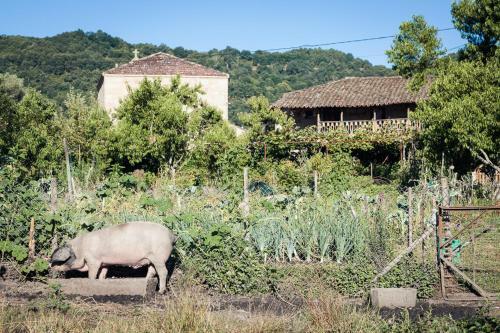 Agroturismo Reitoral De Chandrexa