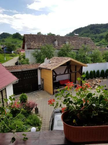 Hostal Pensiunea Liana
