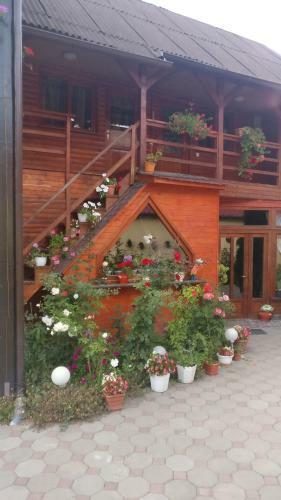 Hostal Pensiunea Liana