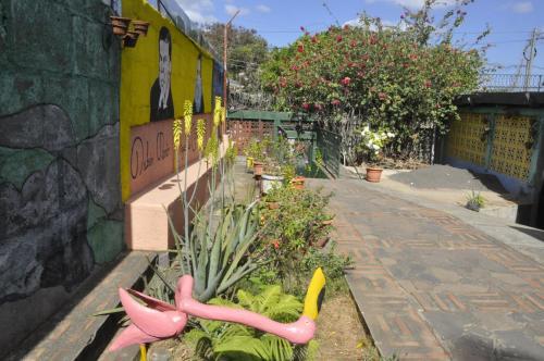 Hostal Esgueva House