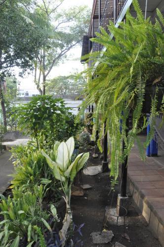 Hostal Esgueva House