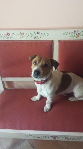 Agroturismo Borgo Di Celle