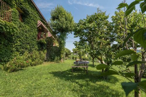 Agroturismo Agriturismo Il Cortile