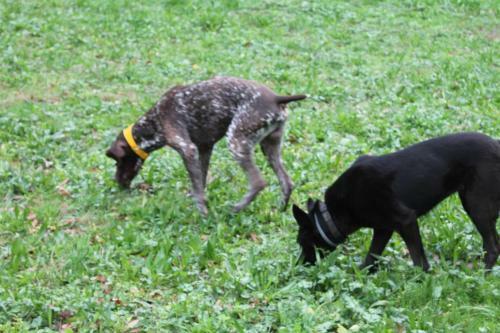 Agroturismo Casa Do Ouro