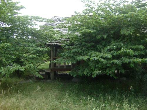Tembo Tarangire Lodge & Camp