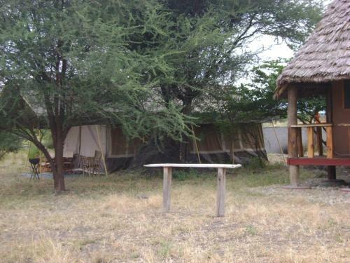 Tembo Tarangire Lodge & Camp
