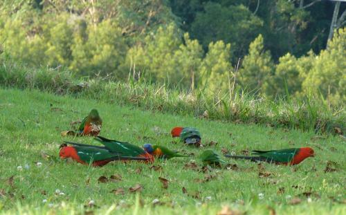 Agroturismo Bellthorpe Stays