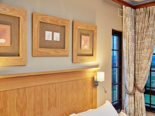 Hotel Midlands Saddle And Trout