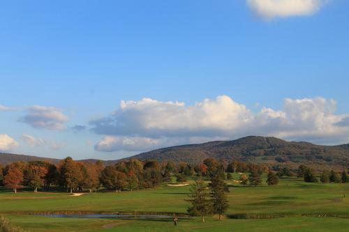 Hotel Canaan Valley Resort State Park