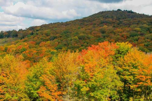 Hotel Canaan Valley Resort State Park