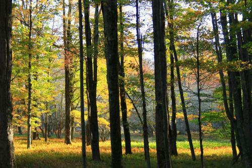 Hotel Canaan Valley Resort State Park